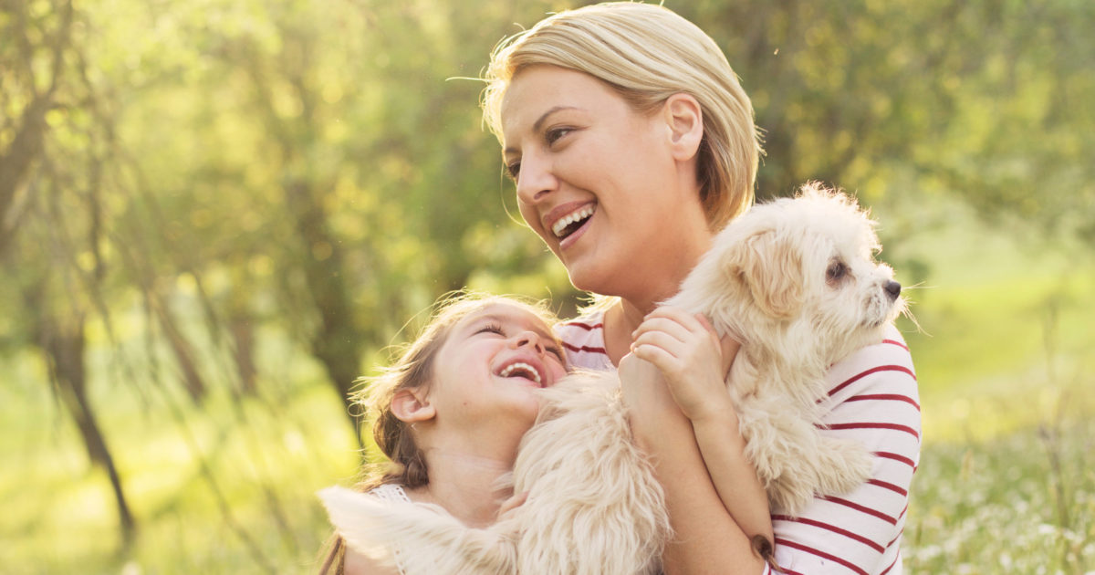 [Land for Sale] Mitchell Grove Estate, Moe OpenLot