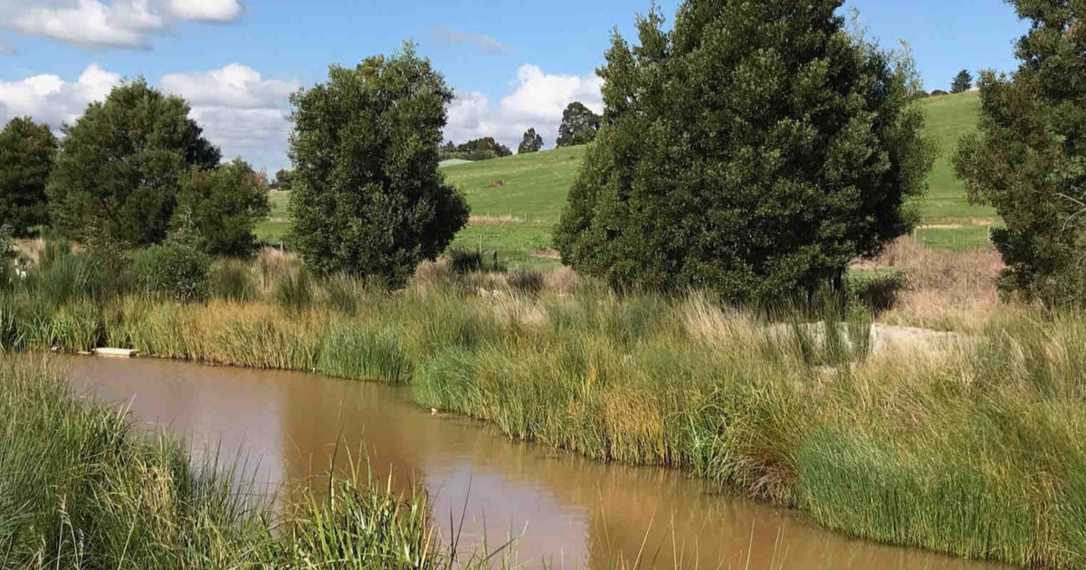Brandy Creek
